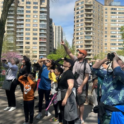 Russell Bird Walk
